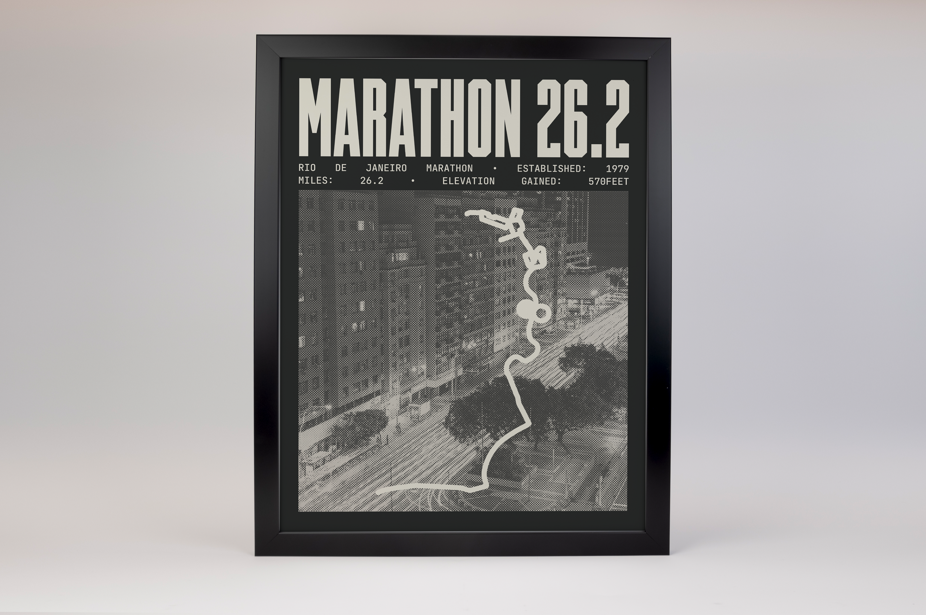 Rio de Janeiro Marathon Poster