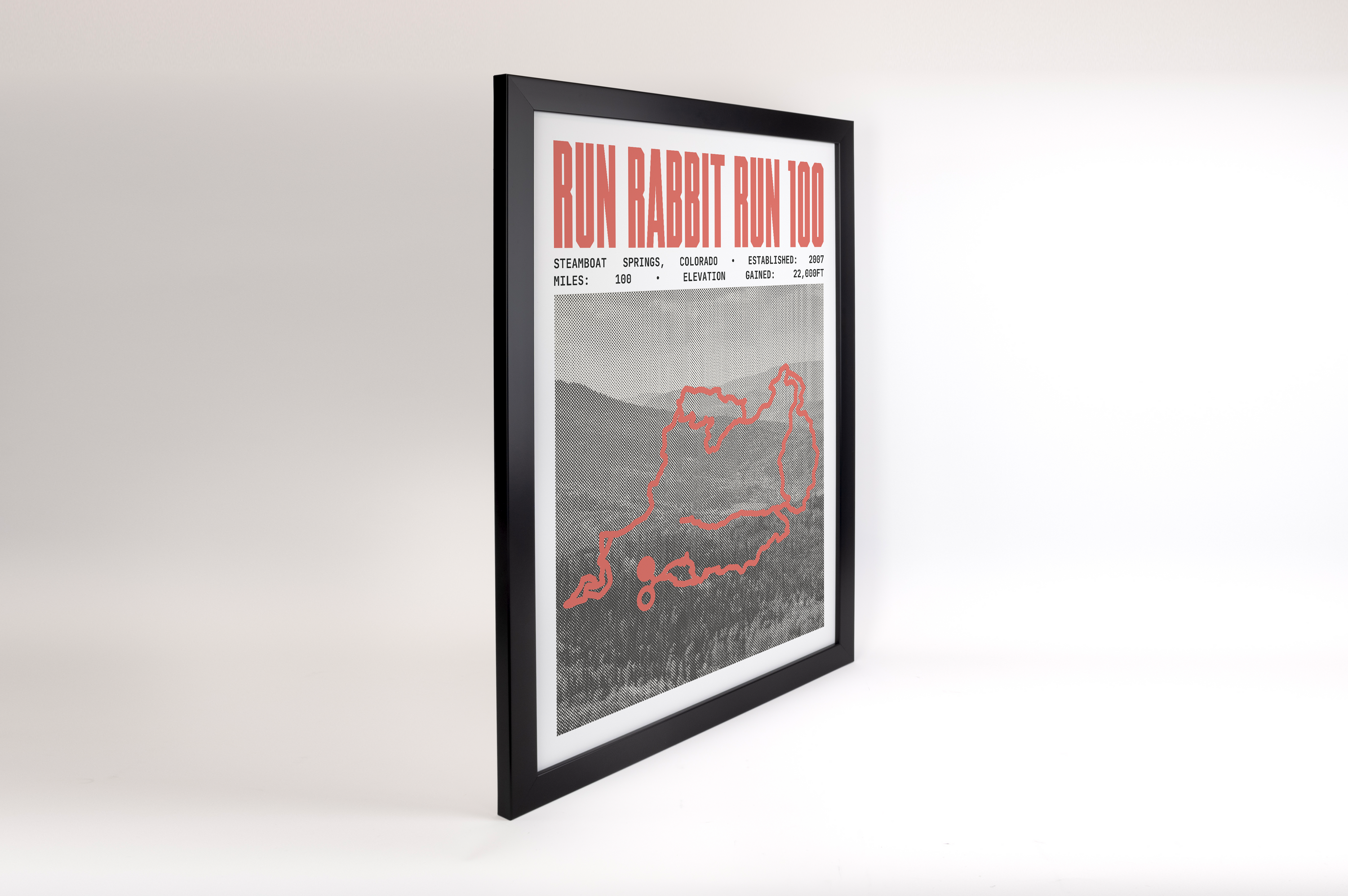 Run Rabbit Run 100 Endurance Run Poster