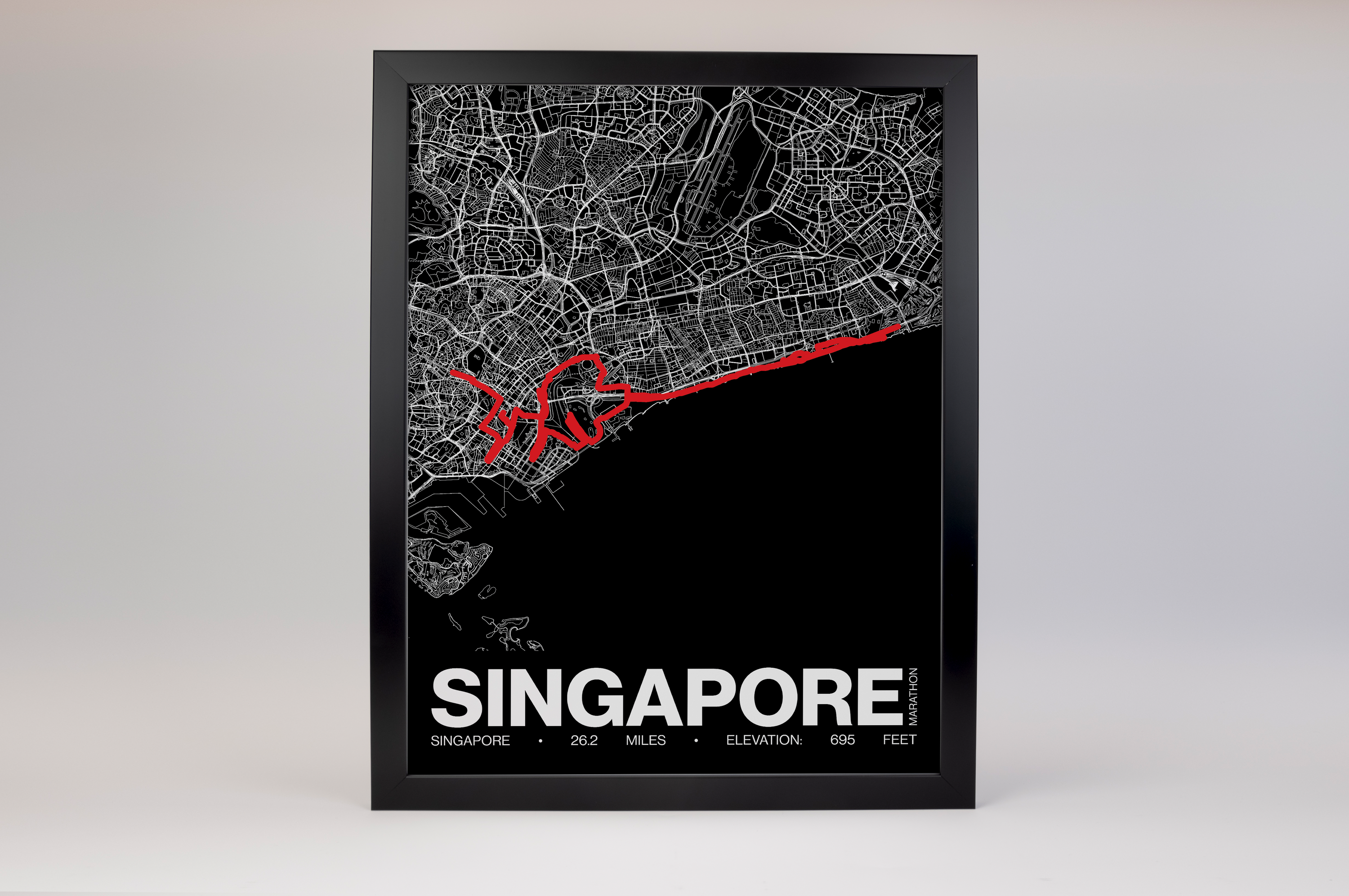 Singapore Marathon Poster - Grid Style