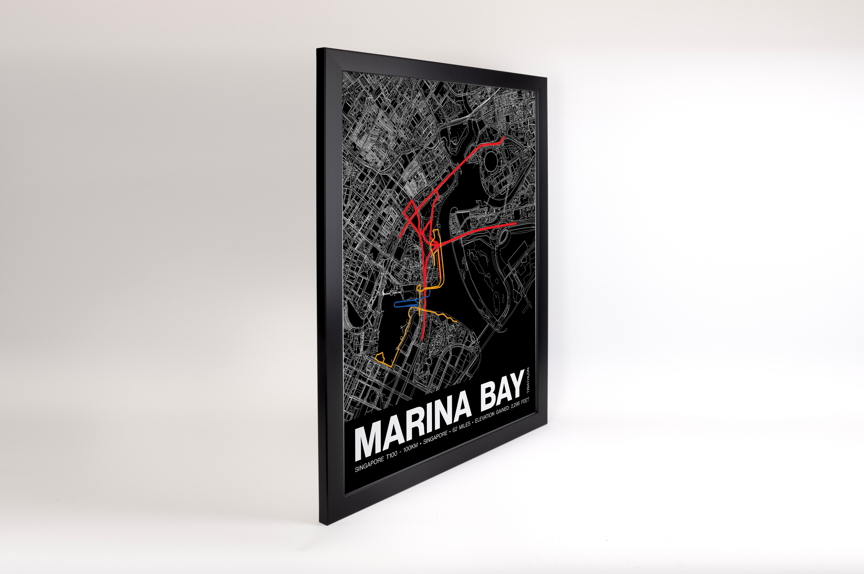 Singapore 100KM Triathlon Poster - Grid Style