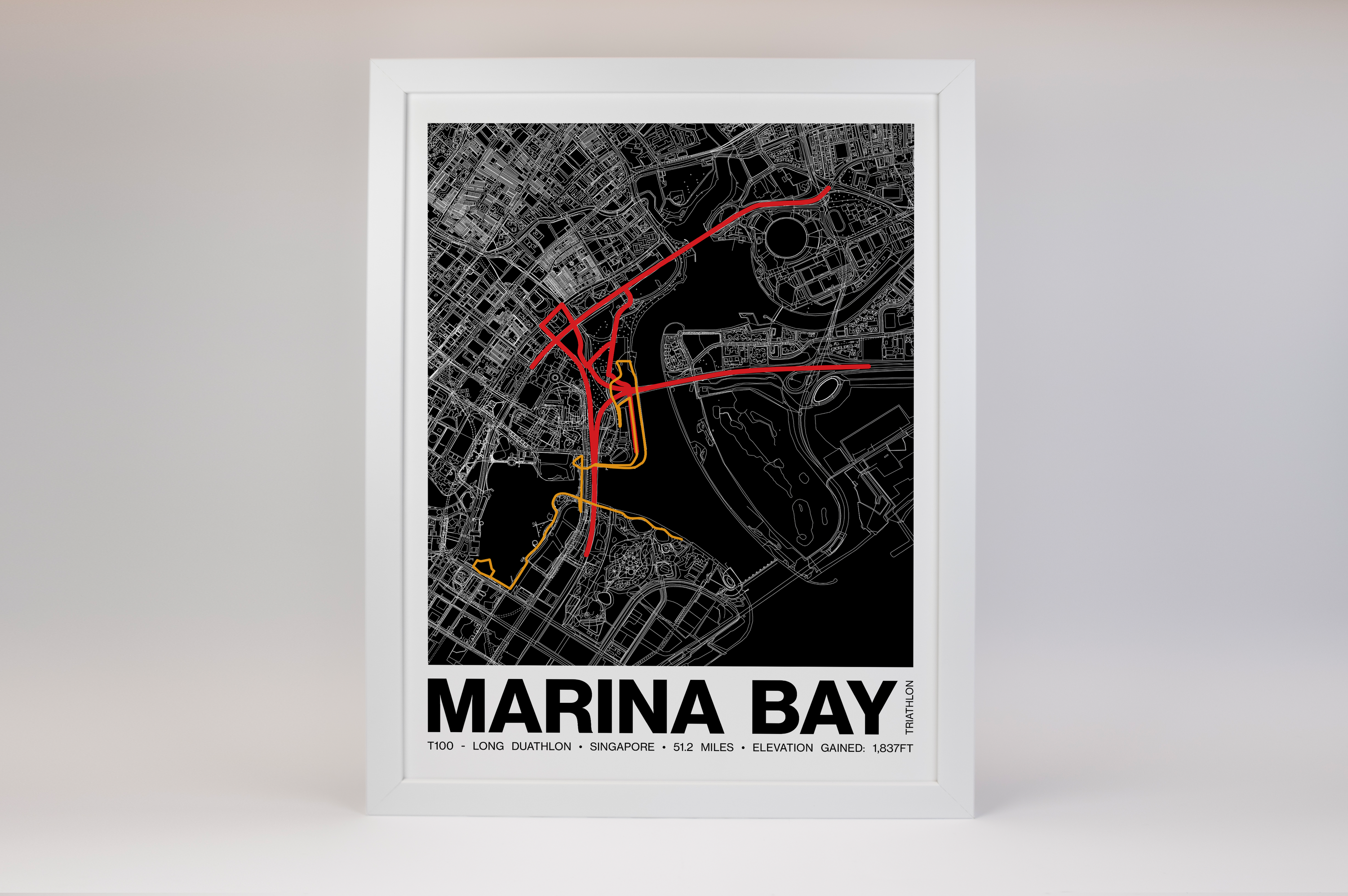 Singapore T100 Long Duathlon Poster - Grid Style