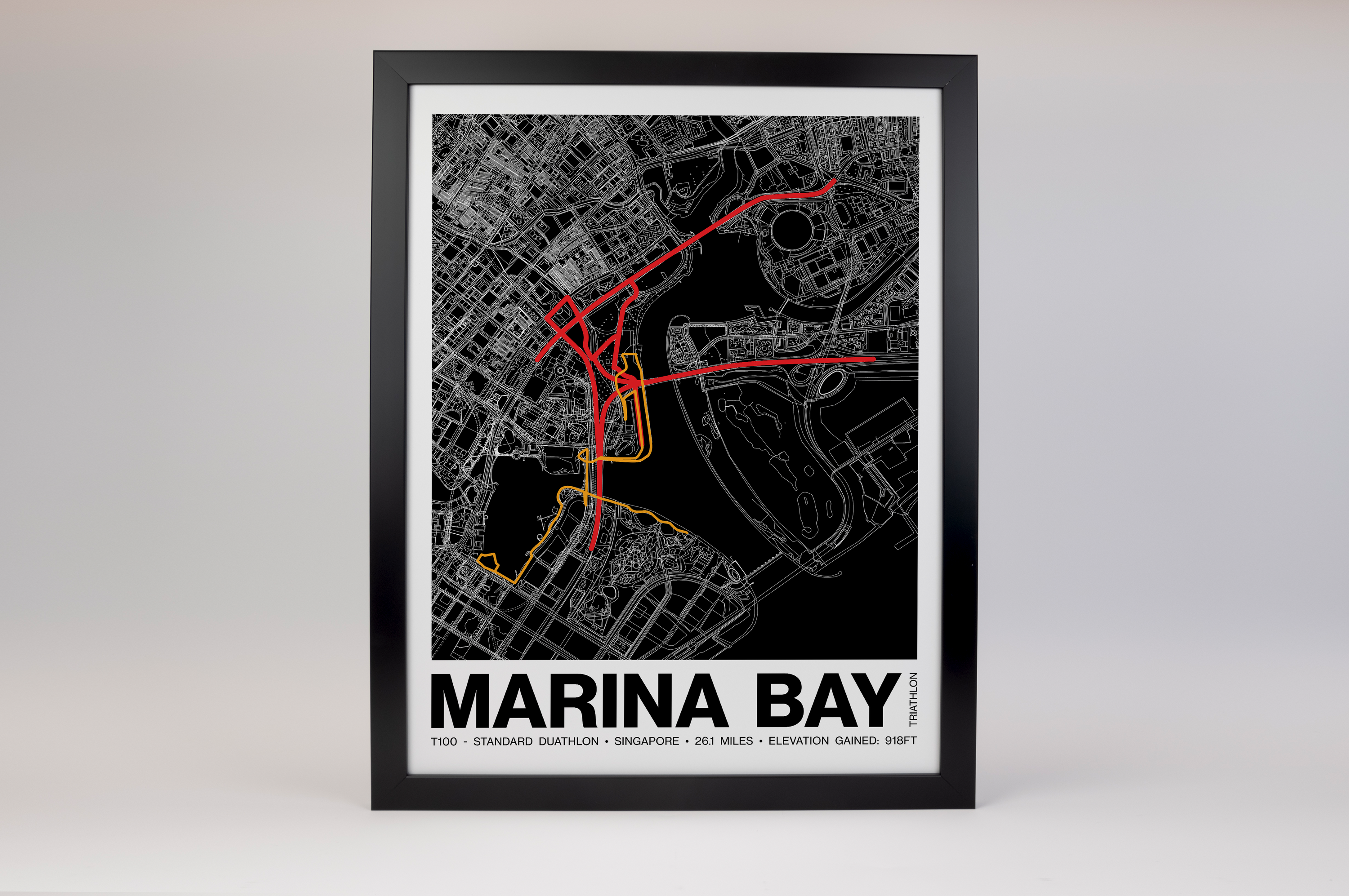 Singapore T100 Standard Duathlon Poster - Grid Style