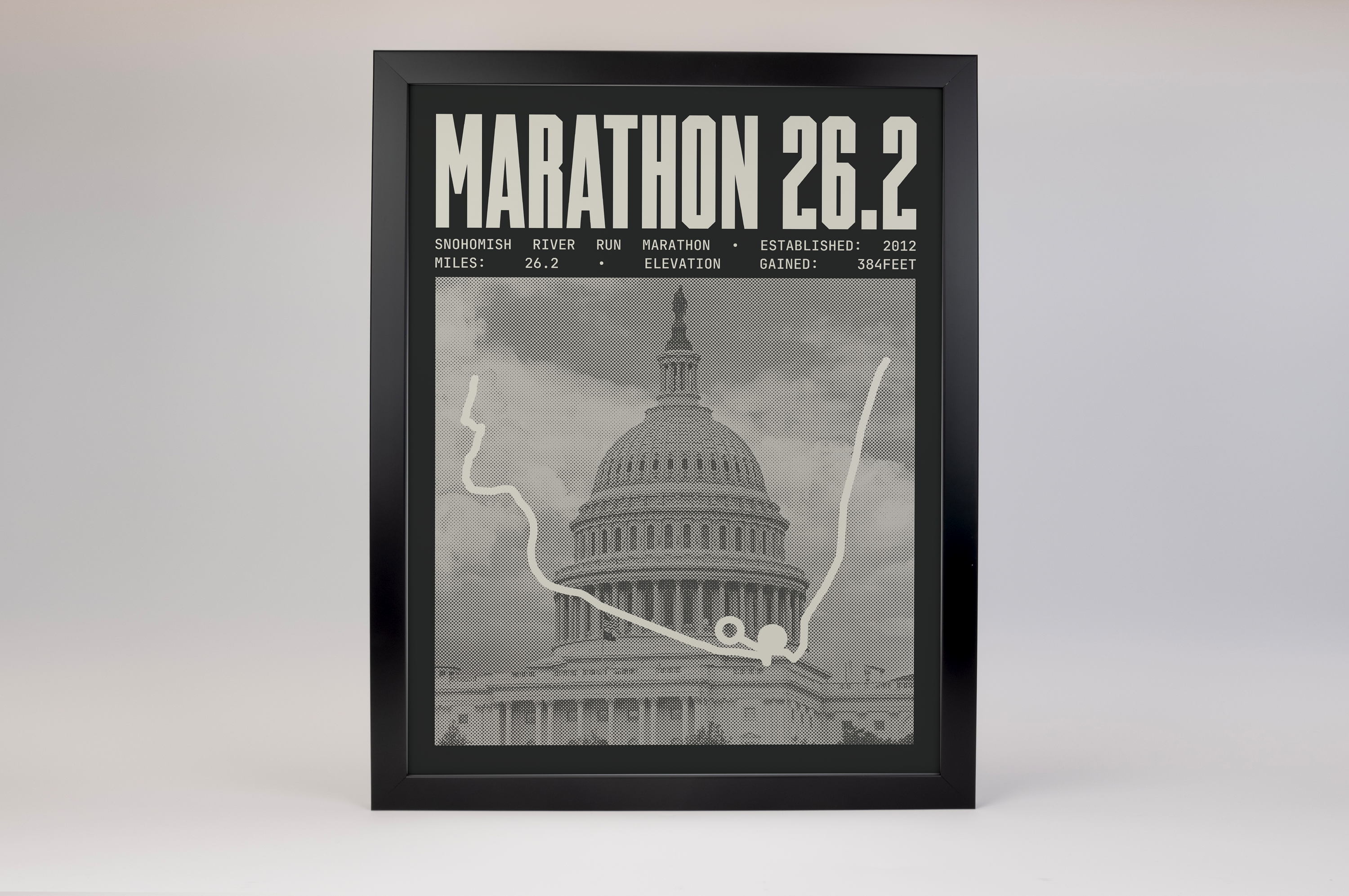 Snohomish River Run Marathon Poster
