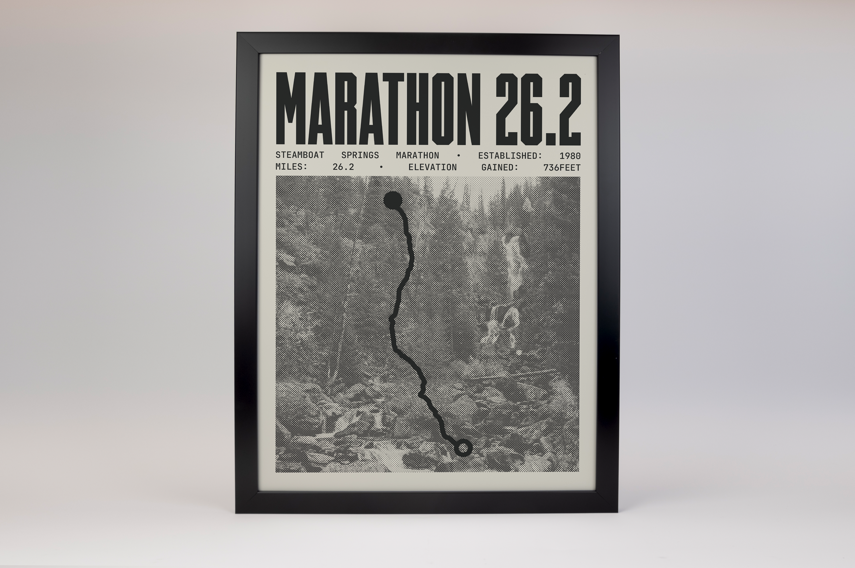 Steamboat Springs Marathon Poster