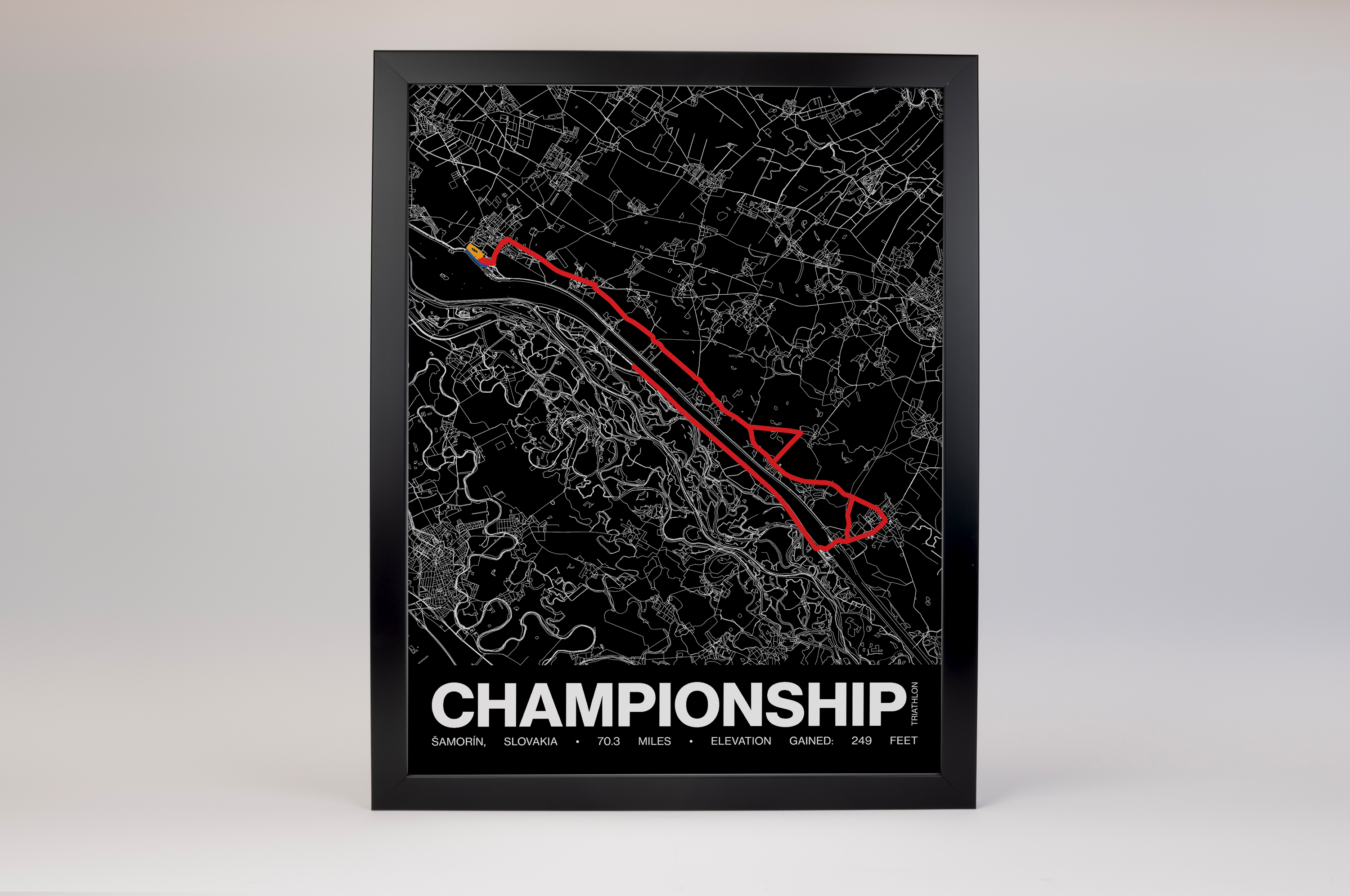 The Championship Poster - Grid Style