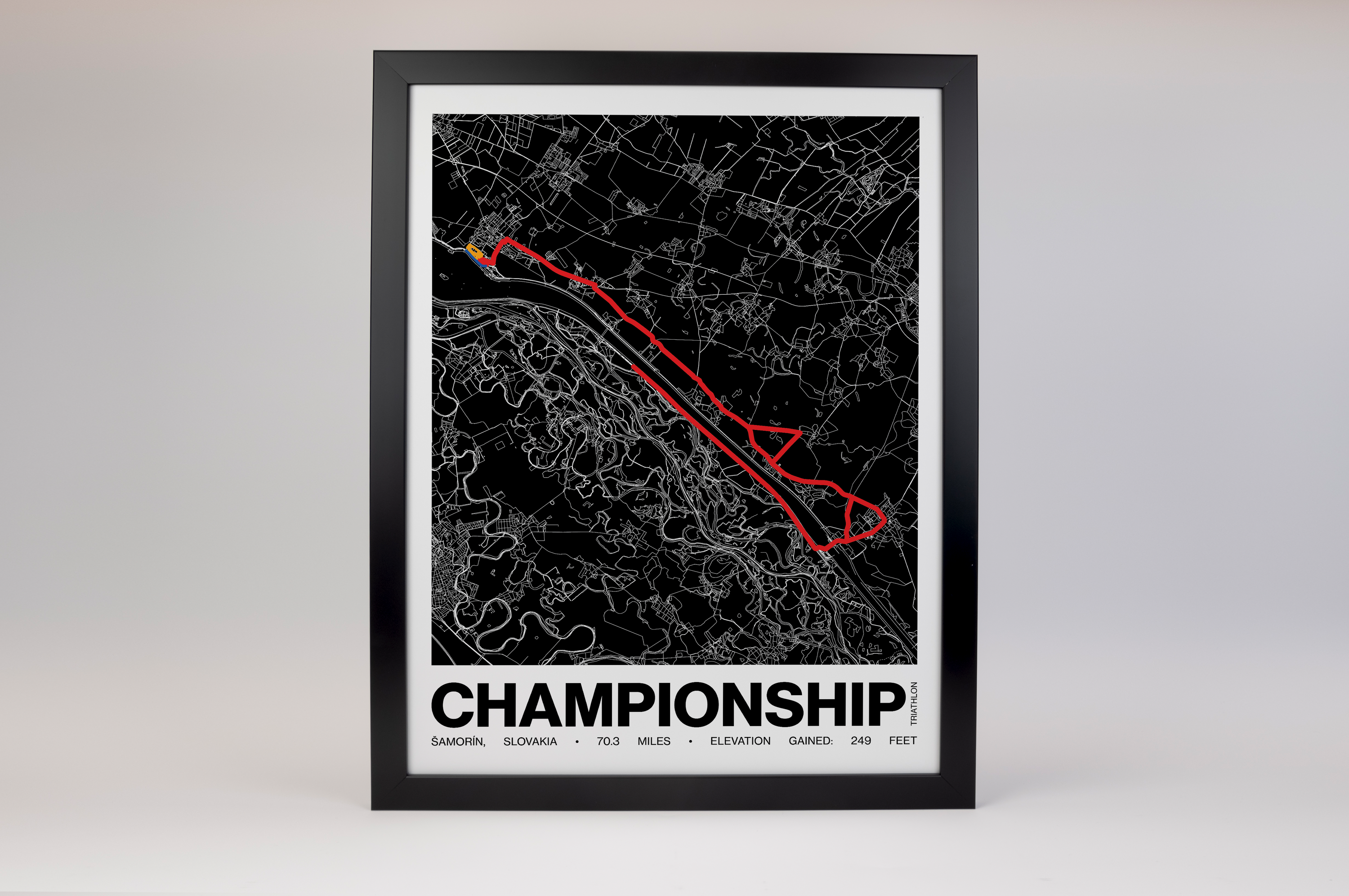 The Championship Poster - Grid Style