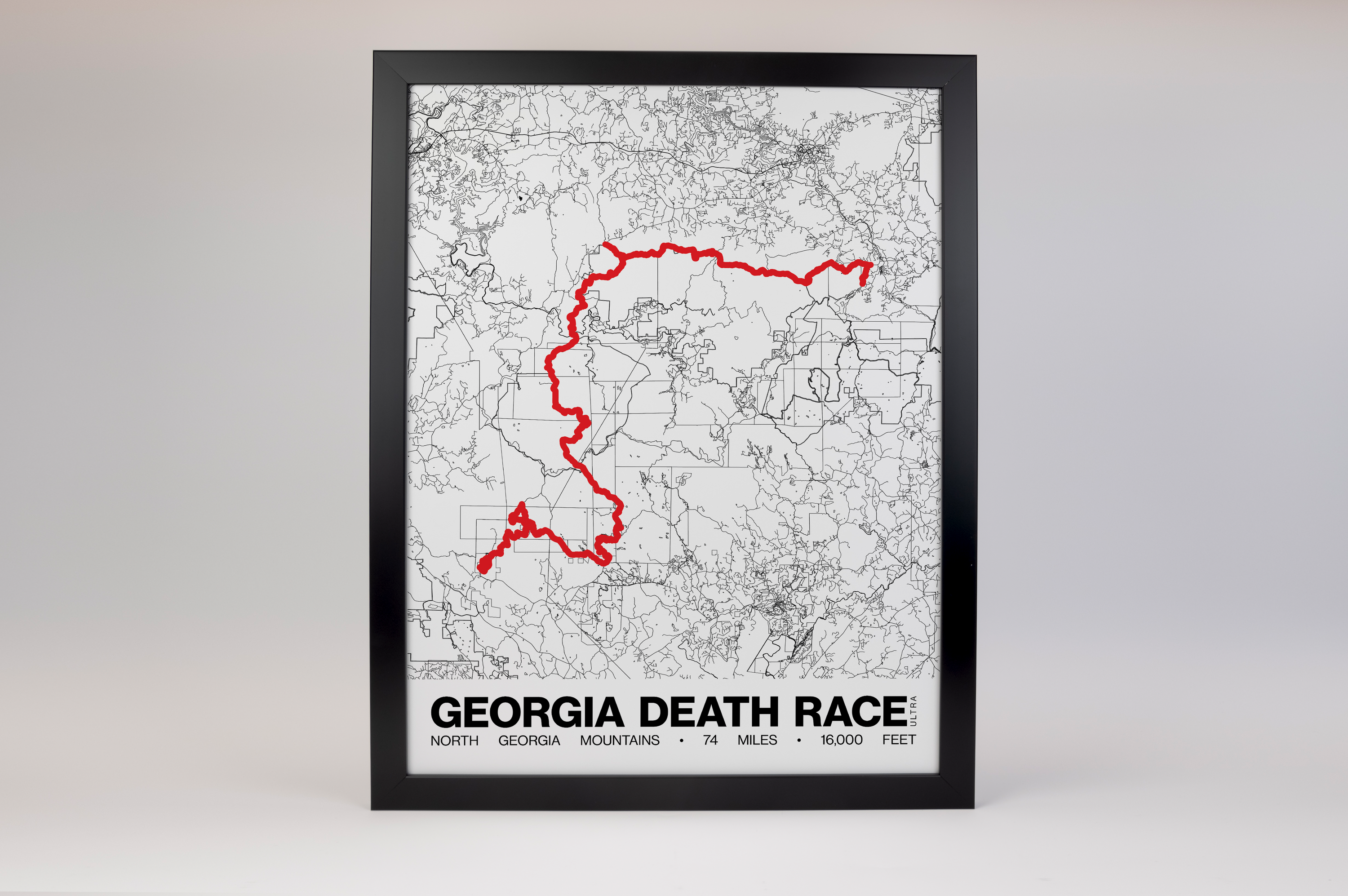 The Georgia Death Race Poster - Grid Style
