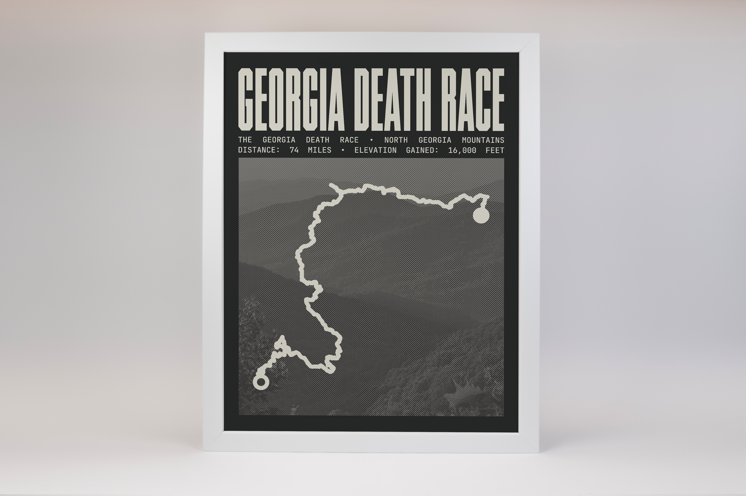 The Georgia Death Race Poster