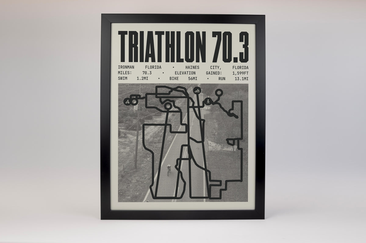 Ironman 70.3 Florida Poster