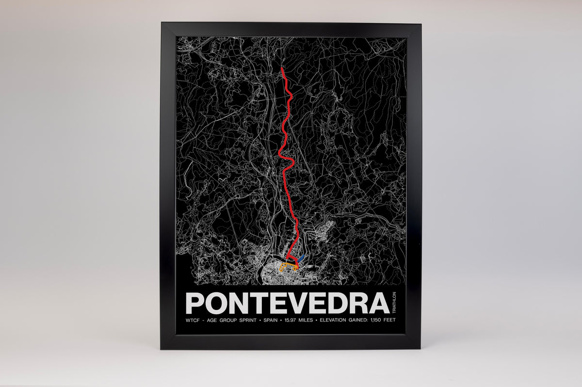 World Triathlon Championship Finals Sprint Poster - Grid Style
