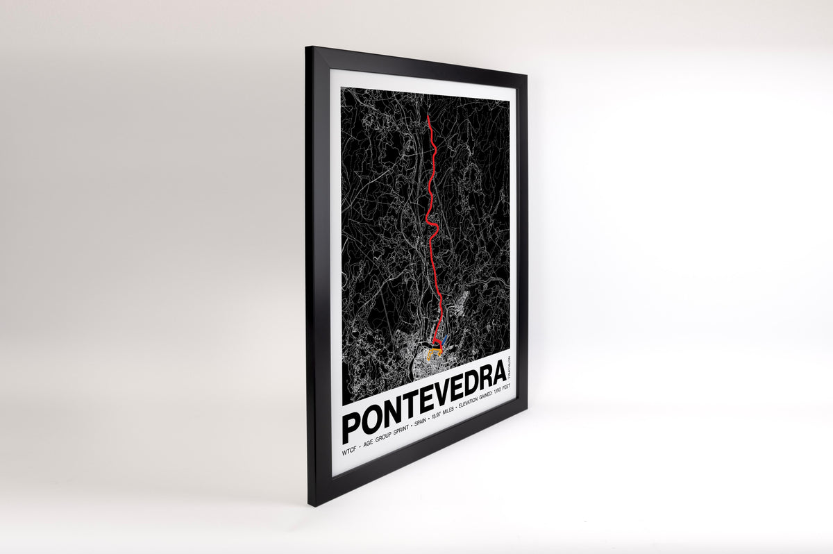World Triathlon Championship Finals Sprint Poster - Grid Style